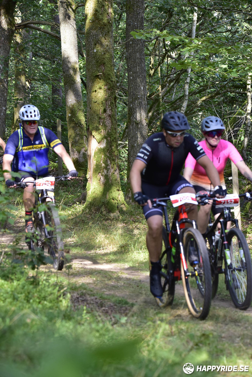 Bild från Bockstensturen 2019